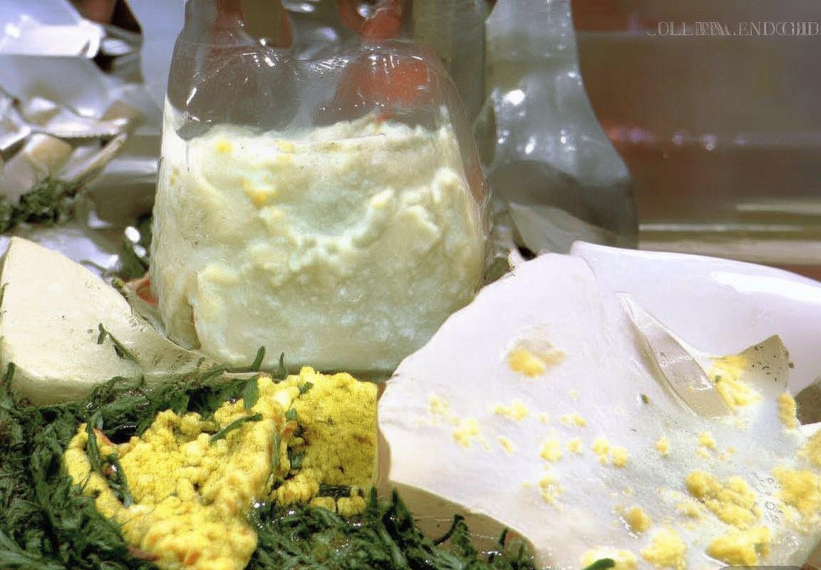 福冈黄蜂VS町田泽维亚：激战在即，全面解析对决看点